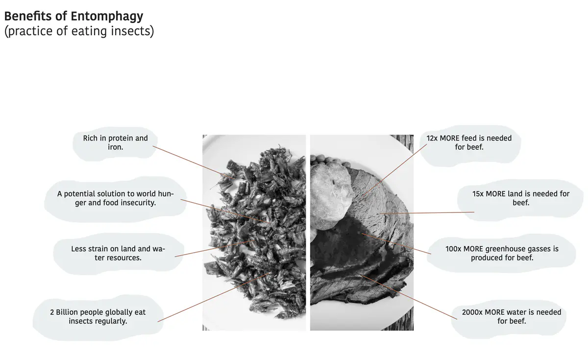 Proposed system for edible insects - Sita Patel Edible Systems 2.png